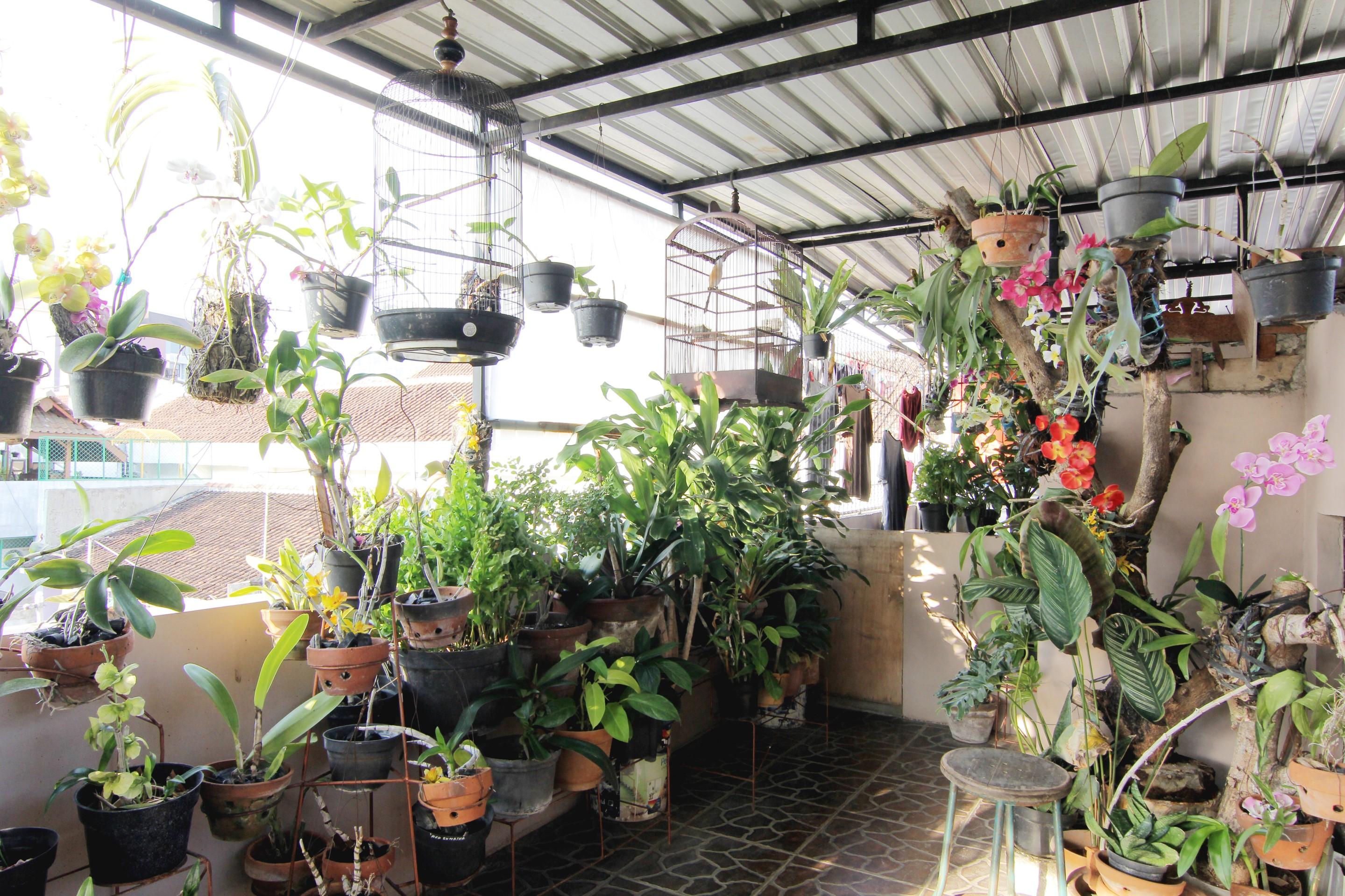 Wanderlust Homestay Jogyakarta Zewnętrze zdjęcie